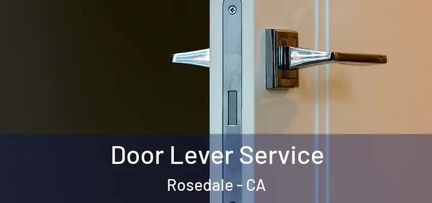  Door Lever Service Rosedale - CA
