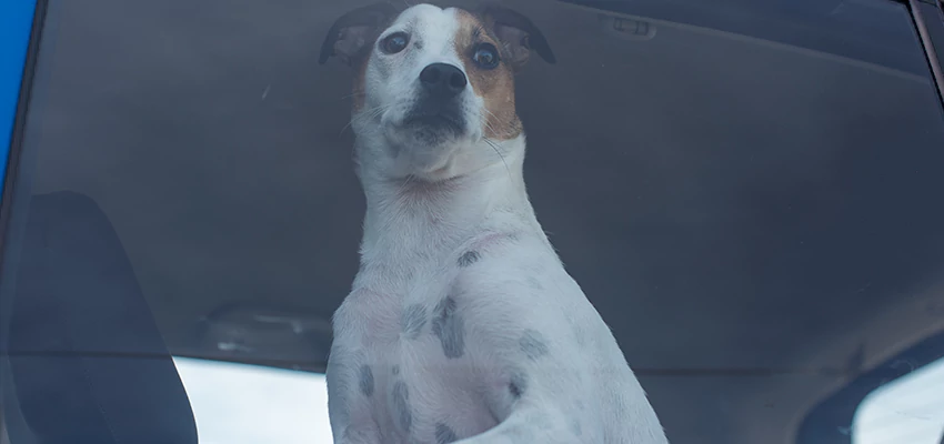 Car Lockout Solutions in Rosedale, California