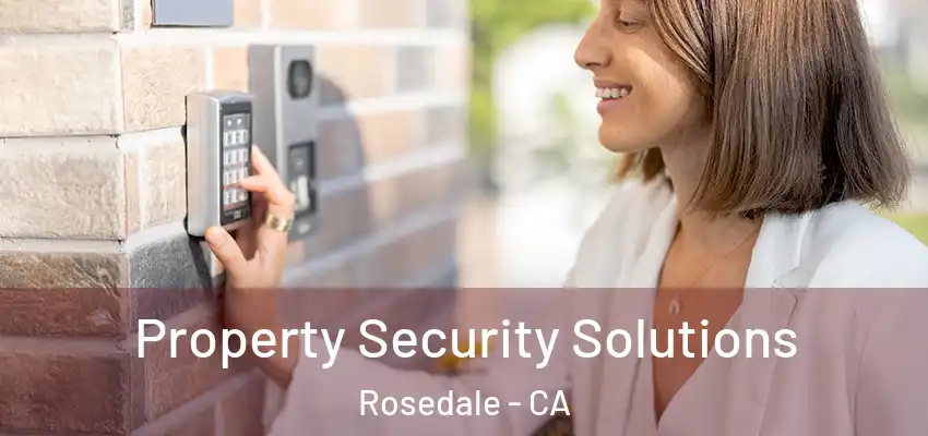  Property Security Solutions Rosedale - CA